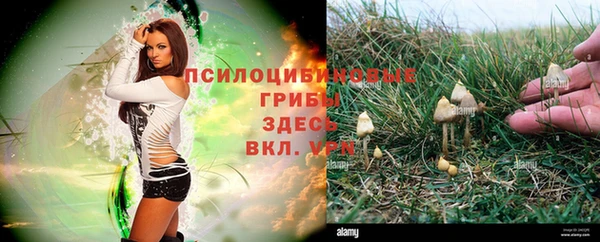 спайс Белоозёрский
