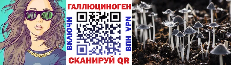 Галлюциногенные грибы Psilocybine cubensis  Буинск 